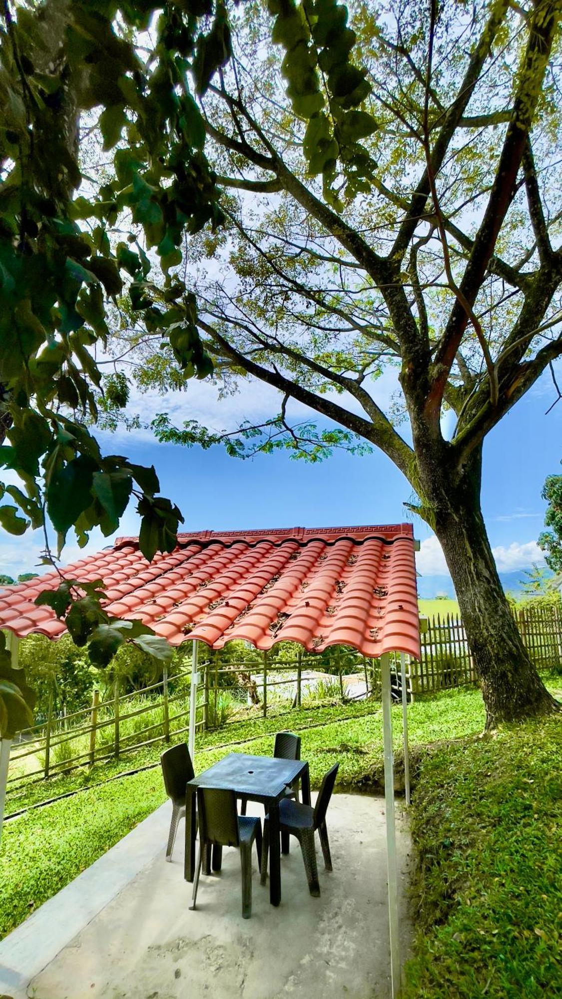 Loto Del Viento Hotel Cartago Eksteriør billede